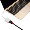 USB 3.1 Type C Male to HDMI Female Adapter 4K/30Hz - 3 of 4
