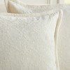 Market & Place 2 Pack Chenille Decorative Pillow Covers 20" x 20" - 3 of 4