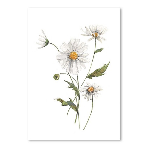 Download Americanflat Daisy Watercolor By Cami Monet Poster Target