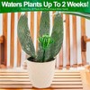 5 Star Super Deals Aqua Glass Plant Watering Cactus Globes Automatic Self Watering Irrigation Vacation Plant Indoor/Outdoor Potted Plant 10" 7 oz 4pc - 4 of 4