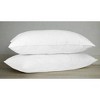 BDOG Collection Down Alternative Pillow By Rifz Textiles - 2 of 2