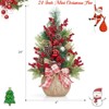 Home 24 Inch Mini Christmas Tree - Christmas Decorations 20 Lights, 8 Modes Small Artificial Tabletop Xmas Tree with Red Berries Ornaments - 3 of 4
