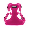 Voyager Step-In Flex All-Weather Adjustable Dog Harness & 5' Leash Set - 2 of 4