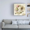 Trademark Fine Art -Lisa Audit 'Marche de Fleurs II' Canvas Art - 2 of 4