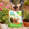Back to the Roots Peat Free, Organic, All-Purpose Potting Soil - 6qt - image 4 of 4