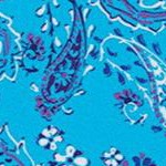 pretty turquoise paisley