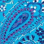pretty turquoise paisley