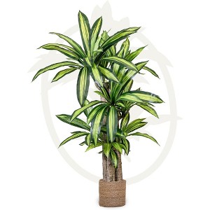 Maia Shop Artificial Dracaena Tree Faux Silk Tropical Home Decoration with Realistic Leaves and Trunks Ideal for Home and Office - 1 of 4