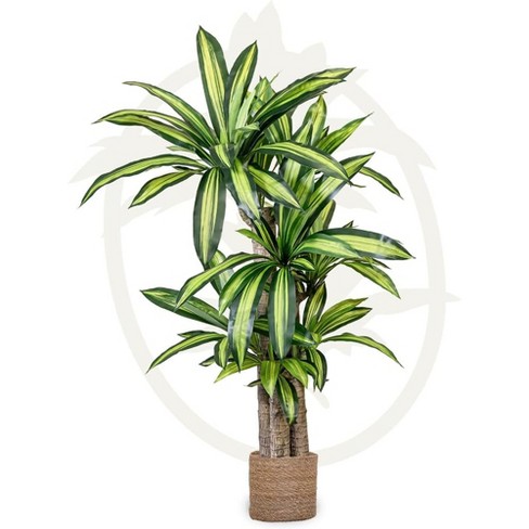 Maia Shop Artificial Dracaena Tree Faux Silk Tropical Home Decoration with Realistic Leaves and Trunks Ideal for Home and Office - image 1 of 4