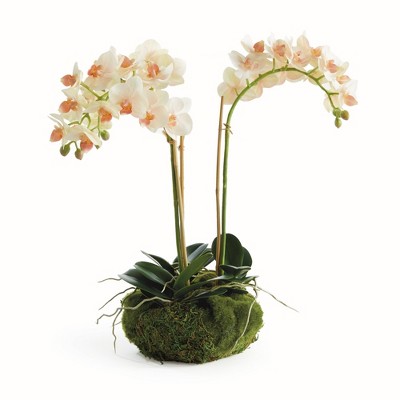 Plum & Post Phalaenopsis Mini Garden Artificial Plant Drop-In