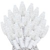 Novelty Lights True Twinkle (100% Twinkle) C6 LED Christmas String Lights 70 Strawberry Bulbs, 24 Feet - 2 of 4