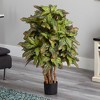 Nearly Natural 3-ft Croton Silk Tree - 2 of 2