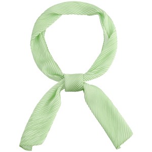 INSPIRE CHIC Women's Solid Contrast Color Pleated Long Satin Neck Scarves 49.2"x4.3" 1 Pc - 1 of 4