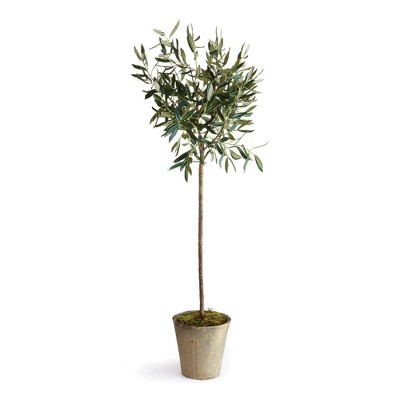 Plum & Post Olive Tree Potted 46"