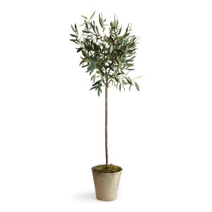 Plum & Post Olive Tree Potted 46" - 1 of 2
