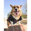 NCAA Oklahoma State Cowboys Mesh Pets Jersey - XXL - 4 of 4