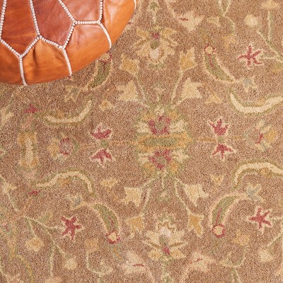 Antiquity Brown and Gold Tufted Wool Area Rug