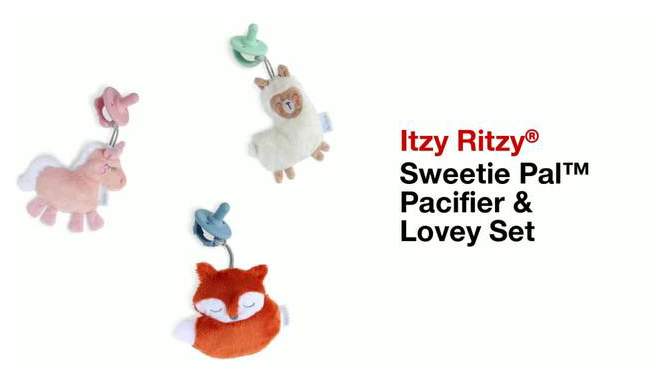 Itzy Ritzy Sweetie Pal Pacifier, 2 of 13, play video