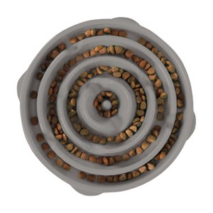 Outward Hound Fun Feeder Slo-Bowl For Dogs - L - Gray - 1 of 3