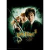 Men's Harry Potter Chamber of Secrets Poster T-Shirt - 2 of 4