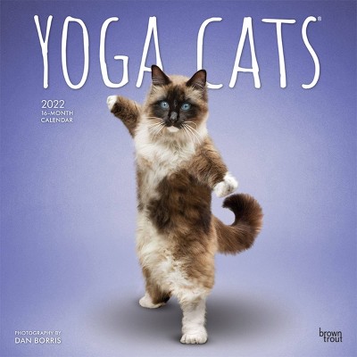 2022 Square Calendar Yoga Cats - BrownTrout Publishers Inc