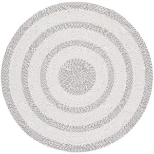Braided BRA821 Hand Woven Indoor Rugs - Safavieh - 1 of 4