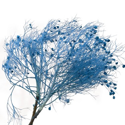 Alilang Decorative Dried Ming Fern Stems for Elegant Home Decoration and Creative Floral Arrangements, 19.5 Inches