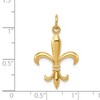 Black Bow Jewelry 14k White or Yellow Gold 2D Fleur De Lis Pendant, 18mm (11/16 inch) - 4 of 4