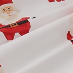 jolly santa