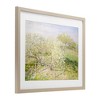Stupell Industries Vintage Apple Orchard Framed Print Under Glass Art - 2 of 4