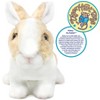 Ridley The Rabbit - 11 Inch Stuffed Animal Plush - By Viahart - 4 of 4