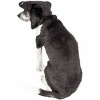 Pet Life Cap-Tivating UV Protectant Adjustable Fashion Dog Hat Cap, LG, Black - 4 of 4
