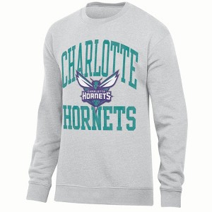 NBA Charlotte Hornets Men's Ash Crew Neck Fleece Sweatshirt - XXL