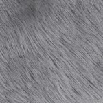 gray furry