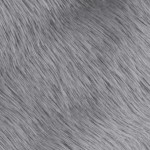 gray furry