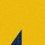 michigan wolverines