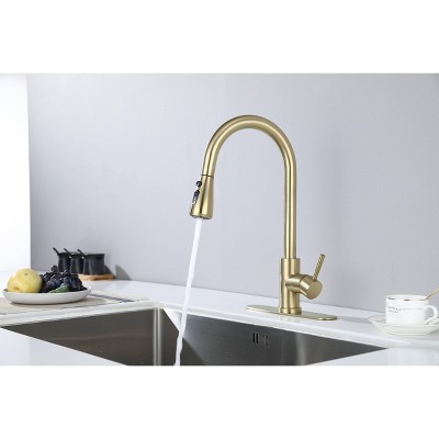 GreenEver Kitchen Faucet with Pull Out Spraye