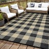 Outdoor Rug Large Waterproof UV Resistant Plastic Straw Reversible Rug, Modern Checkered Rugs Camping Carpet for RV Beach Backyard - 2 of 4