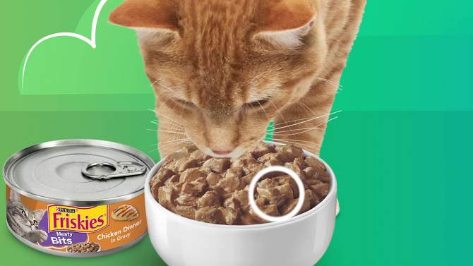 Purina Friskies Meaty Bits with Beef In Gravy Wet Cat Food - 5.5oz, 2 of 6, play video