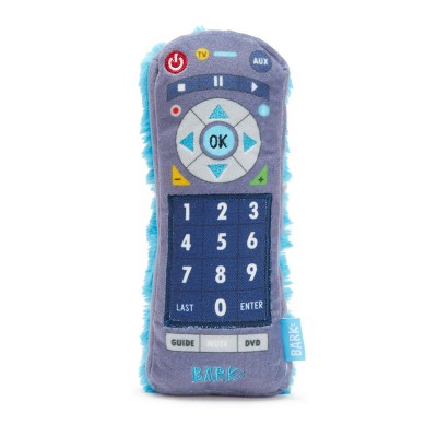 remote dog toy