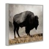 Stupell Industries Powerful Bison Grazing Foggy Rural Pasture Photography Framed Giclee Art, Gray, 30" x 24" - 2 of 4