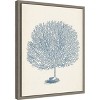 Amanti Art Antique Coral Collection I by Vision Studio Canvas Wall Art Print Framed 16 x 20-in. - 3 of 4