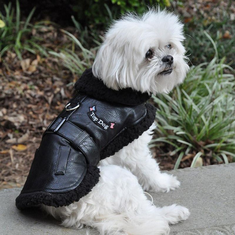 Doggie Design Top Dog Flight Harness Coat-Black, 3 of 6