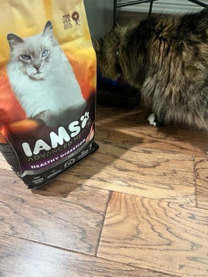 Iams cat clearance food 3kg offers