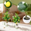 2-Pack 20 Inch Faux Lemon Tree in Pot - Artificial Citrus Plants for Indoor Home Decor, Office Desk & Kitchen - 4 of 4