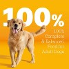 Pedigree with Tender Bites Chicken & Steak Flavor Adult Complete & Balanced Dry Dog Food - 14lbs - 4 of 4