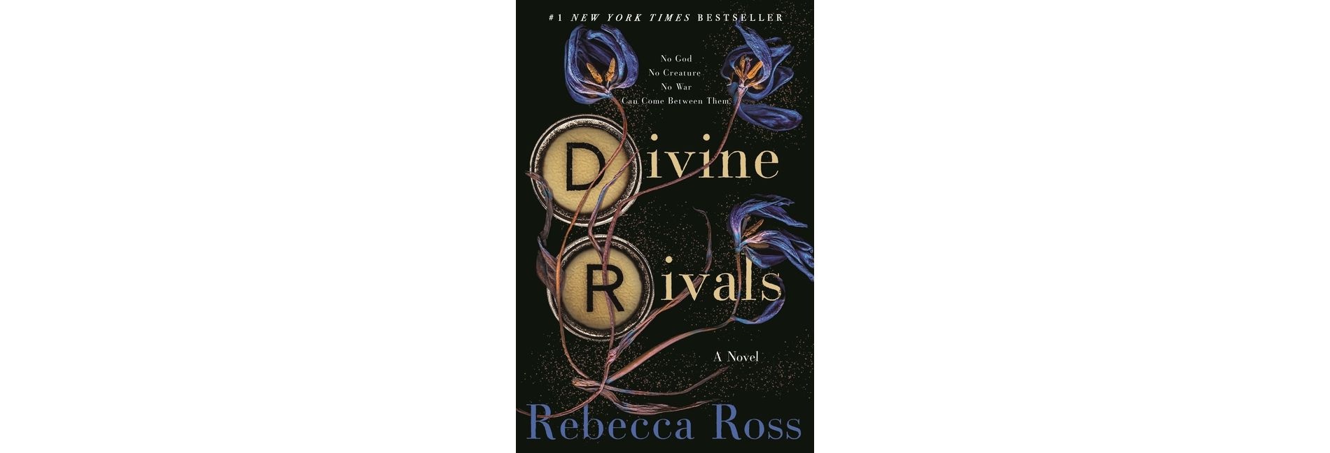 Divine Rivals - (Letters of Enchantment) by  Rebecca Ross (Hardcover)