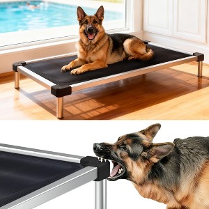FXW TitanNest Chew-Proof Elevated Dog Bed, Raised Cot for Indoor/Outdoor/Camping Use, Durable & Waterproof Cooling Pet Bed - 1 of 4