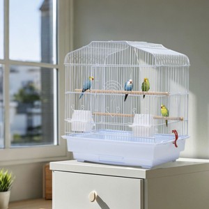 20.5 Inch Travel Bird Cage, Portable Metal Carrier Cage with Handle & Perch for Small Parrots, Flight Bird Cage for Parakeet Cockatiel Lovebird - 1 of 4