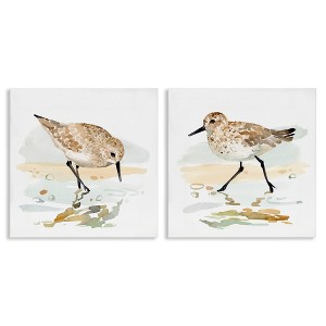 Stupell Industries Sea Birds on Shore, 24" x 24" - 1 of 4